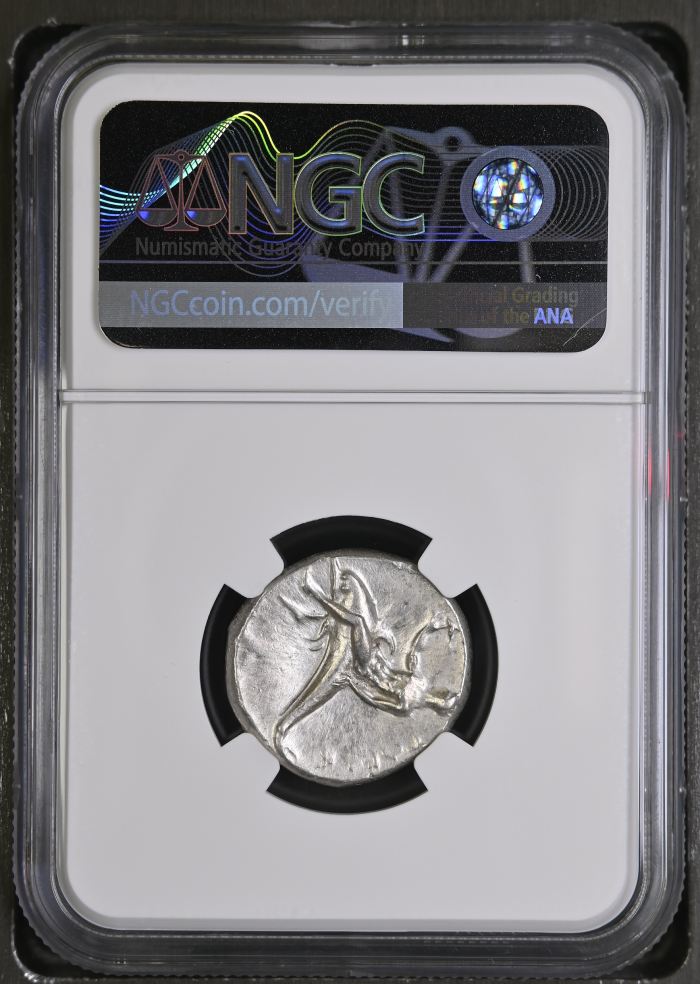 Calabria Taras c.302-280 BC AR Didrachm NGC AU 0126895Calabria Taras c.302-280 BC AR Didrachm NGC AU 0126895 - Image 2