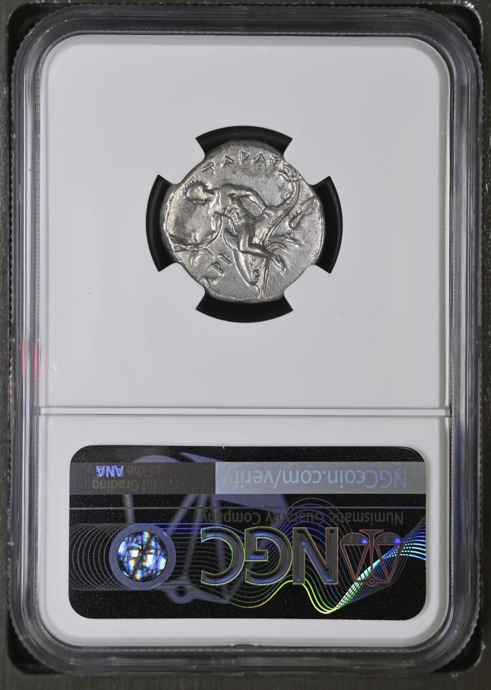 Calabria Taras c.302-280 BC AR Didrachm NGC Ch AU 0127028Calabria Taras c.302-280 BC AR Didrachm NGC Ch AU 0127028 - Image 2