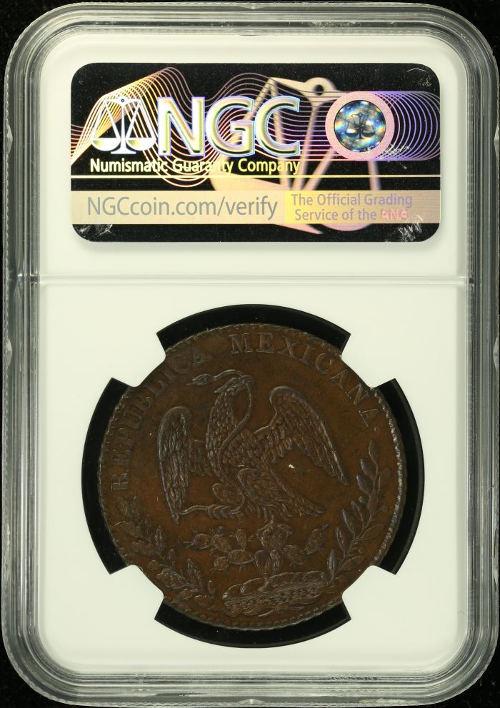 Potosi 8 Reales 1829 Pi JS NGC MS64BN 0136368Potosi 8 Reales 1829 Pi JS NGC MS64BN 0136368 - Image 2