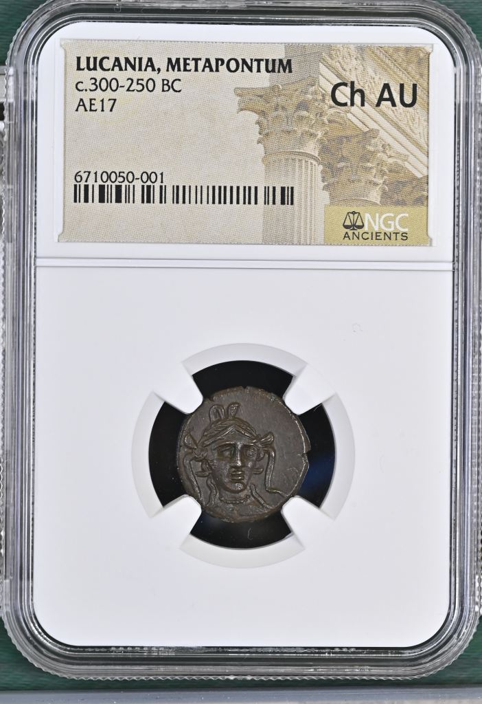 Lucania Metapontum c.300-250 BC AE 17 NGC Ch AU 0145618